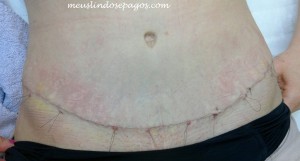 10590791_824361680936749_384046634_o