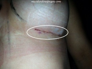 10836571_959224364105231_771108097_n